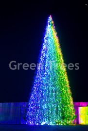 Новогоднее Освещение "Хамелеон", RGB, высота 11 м